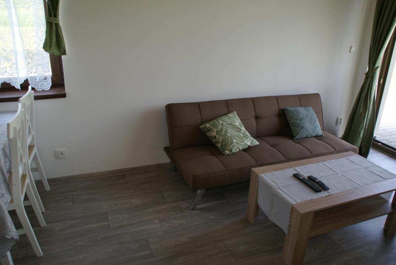Apartmany U Olsinske Kaplicky Horni Plana Exterior photo