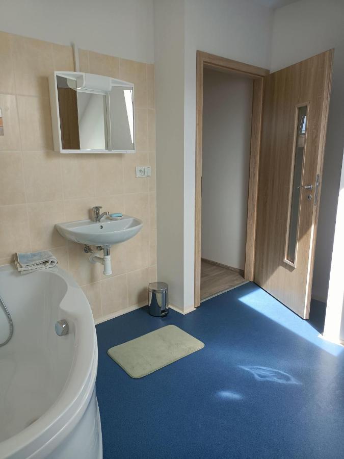 Apartmany U Olsinske Kaplicky Horni Plana Exterior photo
